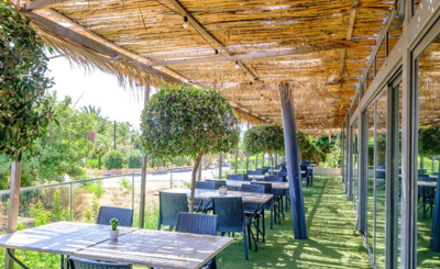 49d169b3-0a6a-41a5-8903-26b41477d1f2