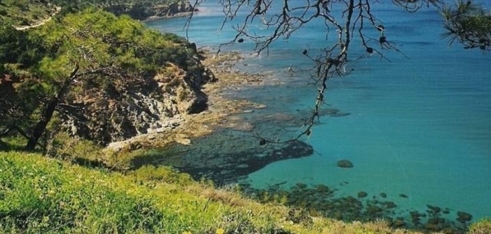 Image No.4-3 Bed House for sale