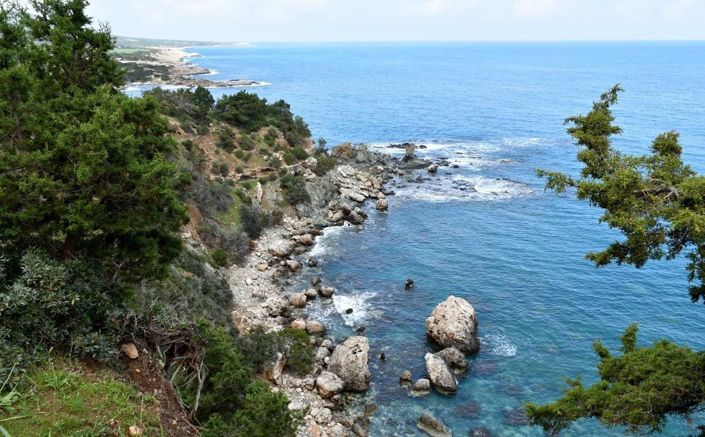 Image No.5-3 Bed House for sale