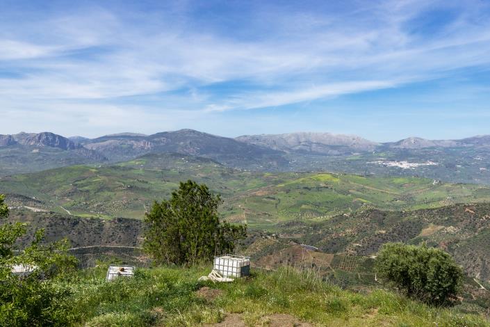 Image No.23-3 Bed House/Villa for sale