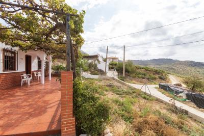 Terrace-and-Garden