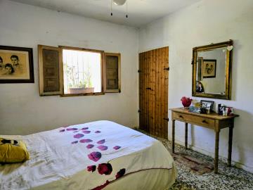 IMG-20250825-WA0006