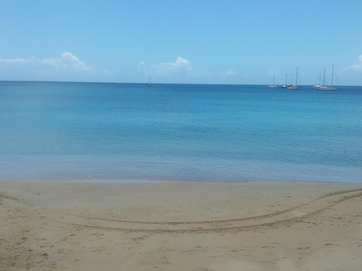 Image No.48-Maison de 6 chambres à vendre à Canaries