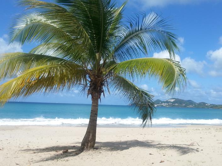 Image No.46-Maison de 6 chambres à vendre à Canaries