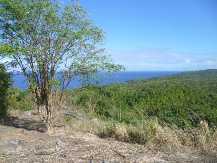 Image No.34-Maison de 6 chambres à vendre à Canaries