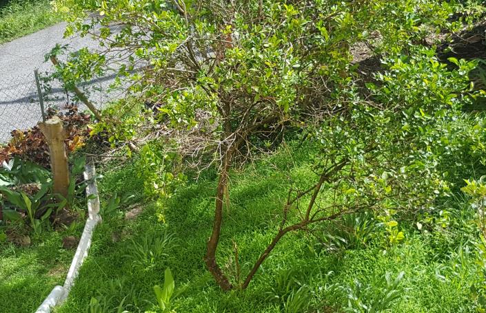 Image No.32-Maison de 6 chambres à vendre à Canaries