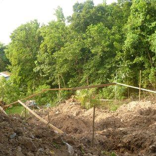 Image No.40-Maison de 6 chambres à vendre à Canaries