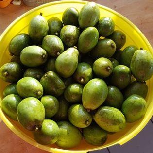 Image No.42-Maison de 6 chambres à vendre à Canaries