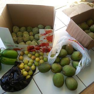 Image No.41-Maison de 6 chambres à vendre à Canaries