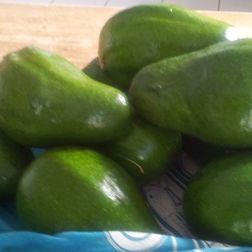 Image No.39-Maison de 6 chambres à vendre à Canaries