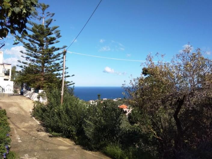 Image No.20-2 Bed House for sale