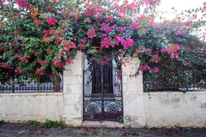 Image No.49-3 Bed House for sale