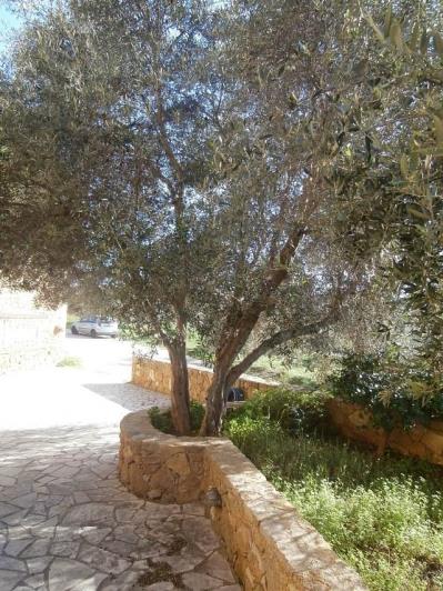 Image No.16-3 Bed Villa for sale