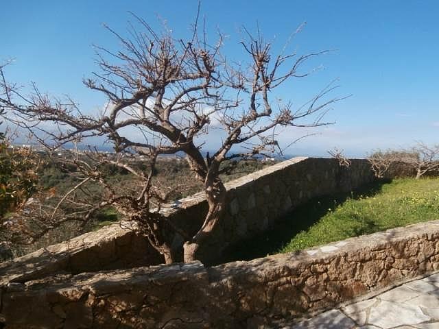 Image No.21-3 Bed Villa for sale