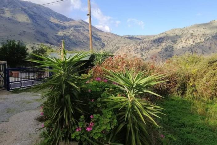 Image No.22-Maison de 2 chambres à vendre à Kournas