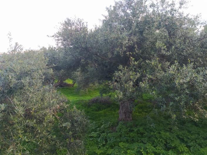 Image No.28-3 Bed Villa for sale