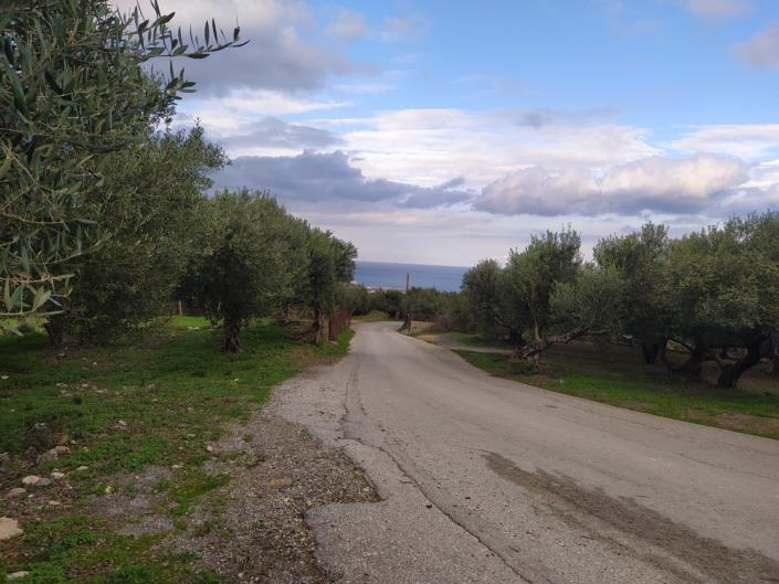 Image No.30-3 Bed Villa for sale