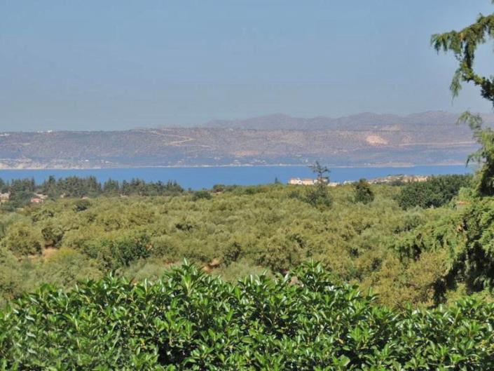 Image No.34-5 Bed Villa for sale