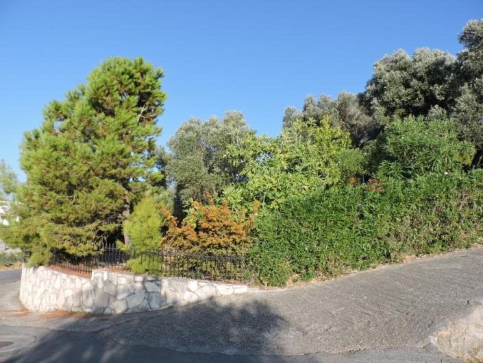 Image No.3-Villa de 5 chambres à vendre à Maroulas