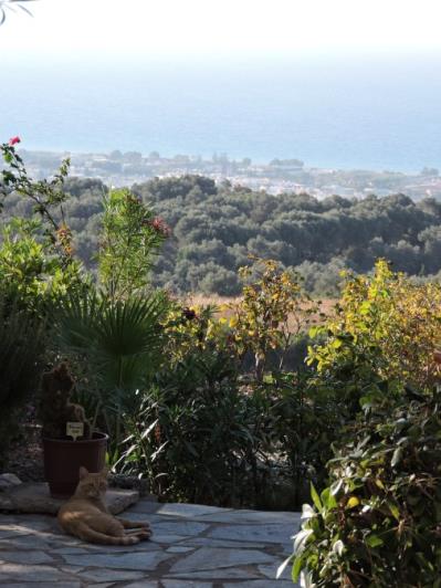 Image No.9-Villa de 5 chambres à vendre à Maroulas