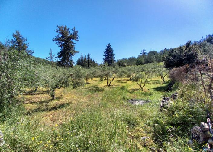 Image No.16-3 Bed House for sale