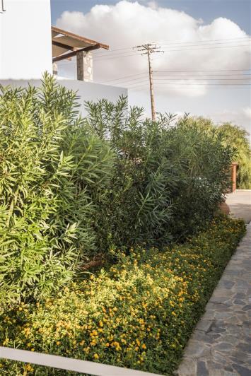 Image No.22-Villa de 4 chambres à vendre à Stavros