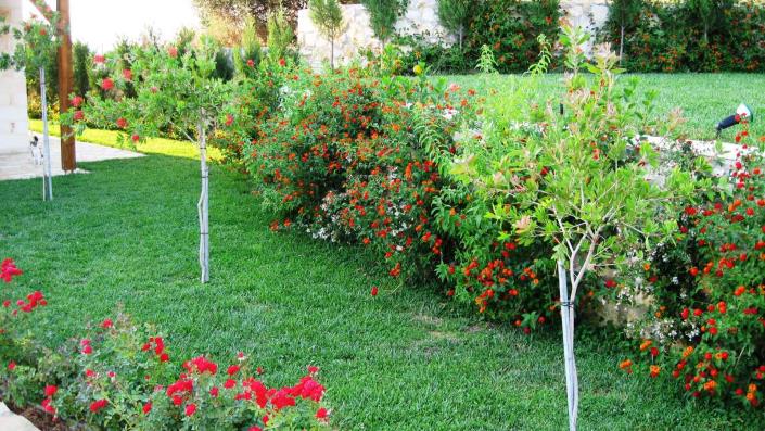 Image No.16-3 Bed Villa for sale