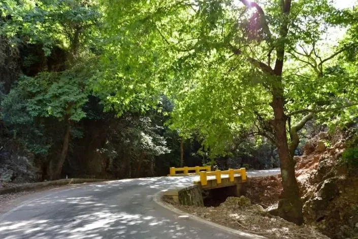 Image No.6-Villa de 3 chambres à vendre à Theriso