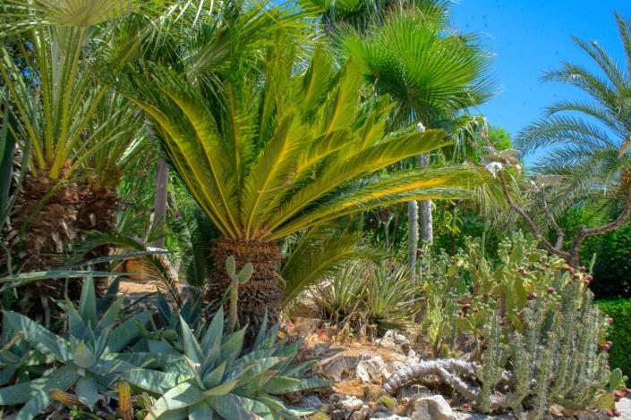 Image No.14-2 Bed House for sale