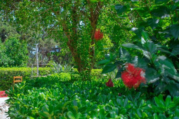 Image No.15-2 Bed House for sale