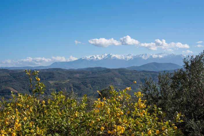 Image No.9-Villa de 5 chambres à vendre à Platanos