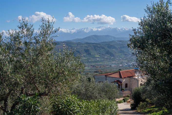 Image No.43-Villa de 5 chambres à vendre à Platanos
