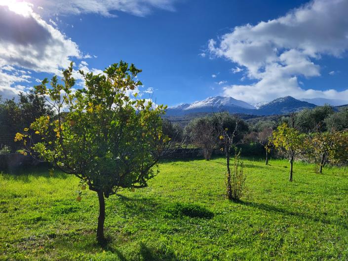 Image No.2-Maison de 6 chambres à vendre à Apokoronas