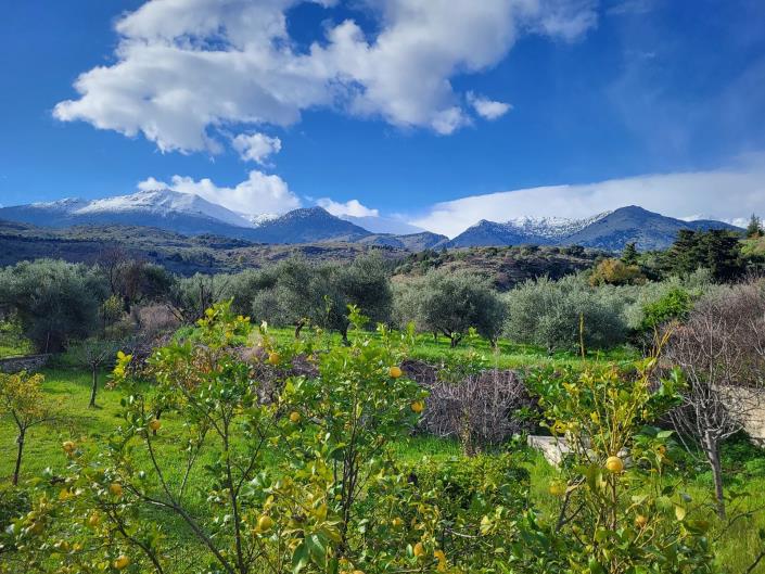 Image No.51-Maison de 6 chambres à vendre à Apokoronas