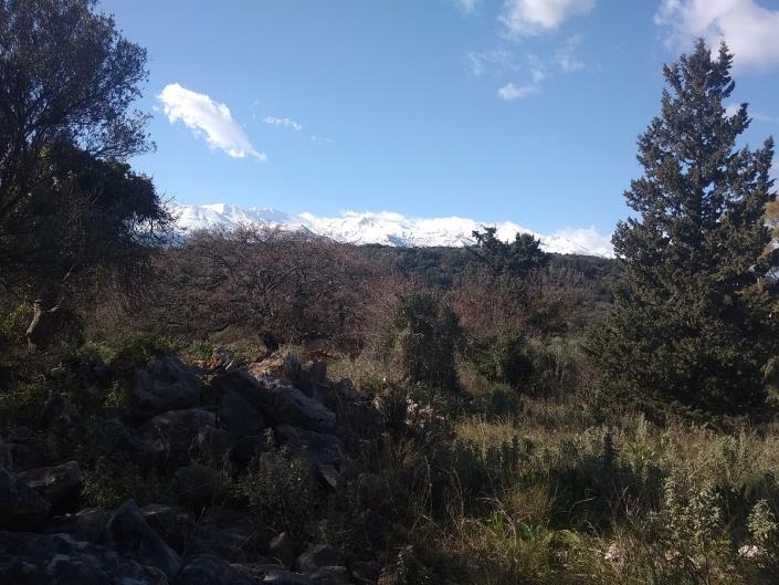 Image No.22-2 Bed House for sale