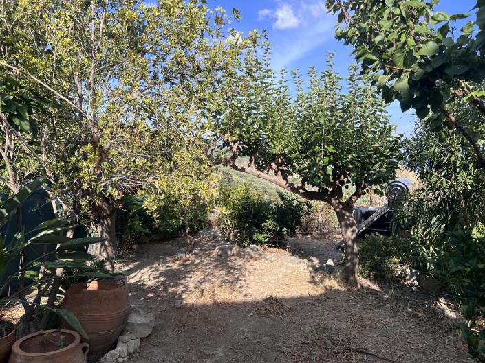 Image No.29-Maison de 3 chambres à vendre à Kissamos