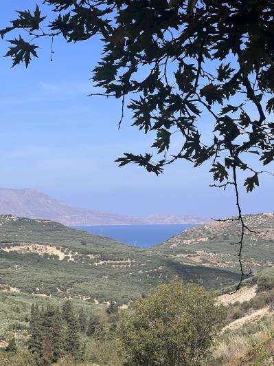 Image No.31-Maison de 3 chambres à vendre à Kissamos