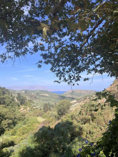 Image No.32-Maison de 3 chambres à vendre à Kissamos