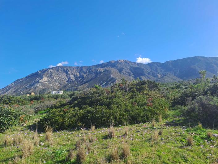 Image No.31-Maison de 3 chambres à vendre à Chania