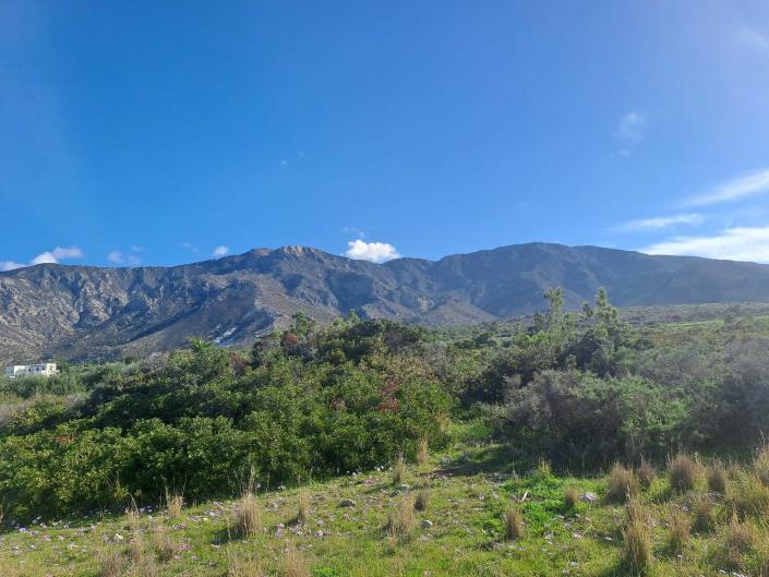 Image No.33-Maison de 3 chambres à vendre à Chania
