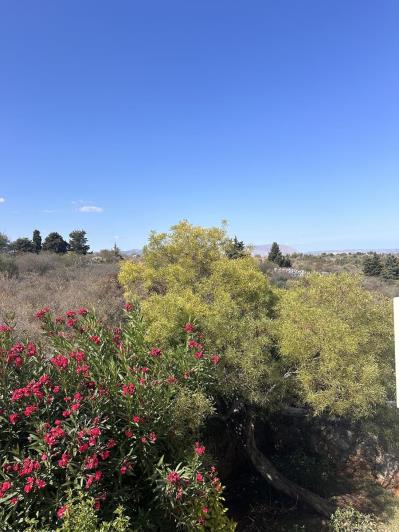 Image No.21-Appartement de 2 chambres à vendre à Souri