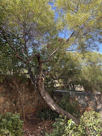 Image No.31-Appartement de 2 chambres à vendre à Souri