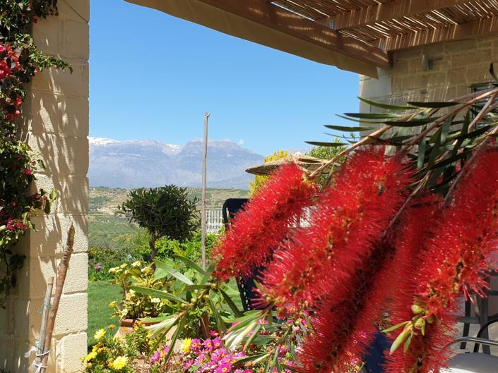 Image No.11-2 Bed Villa for sale