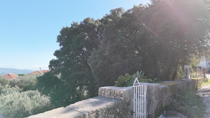 Image No.11-2 Bed House for sale