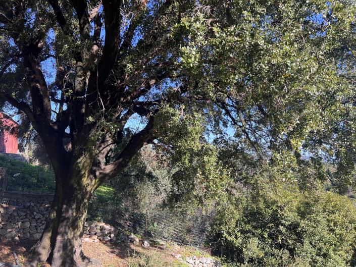 Image No.19-2 Bed House for sale