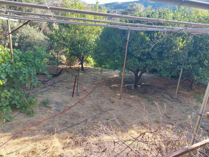 Image No.17-3 Bed House for sale