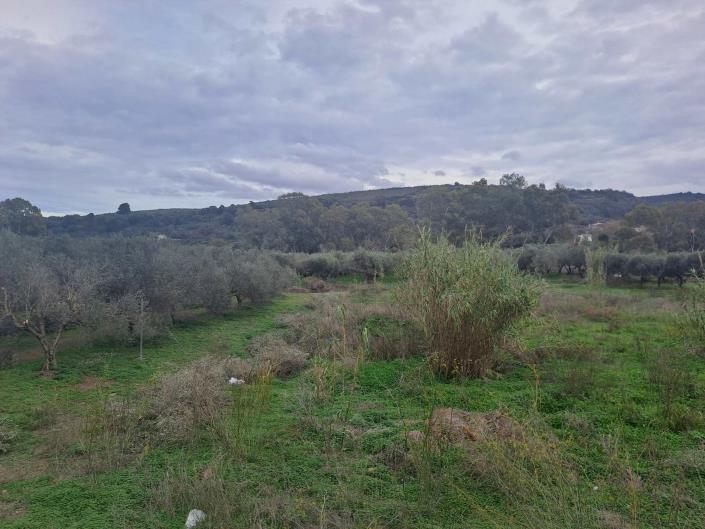 Image No.10-Villa de 5 chambres à vendre à Voukolies