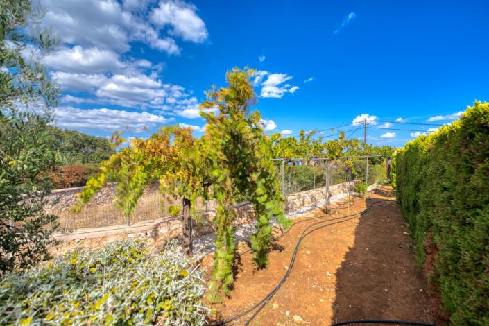 Image No.51-Villa de 3 chambres à vendre à Plaka