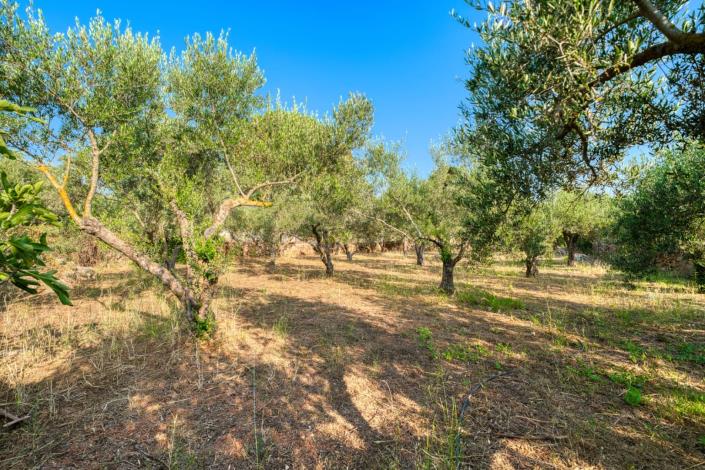 Image No.27-House for sale