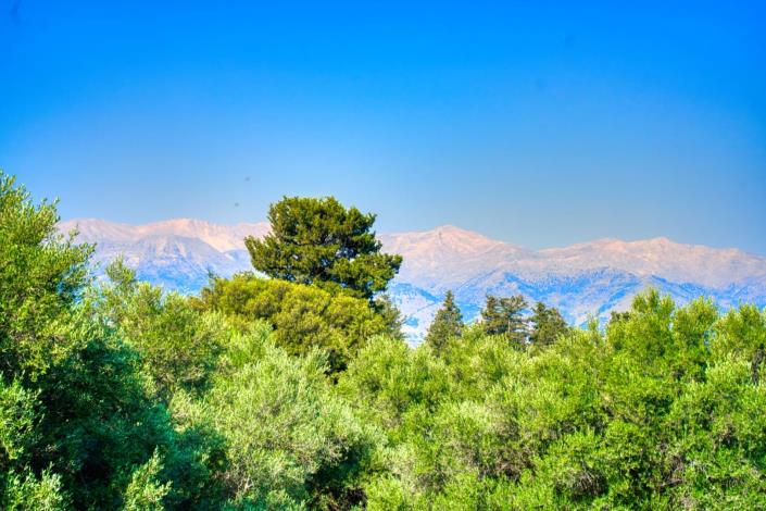 Image No.28-House for sale